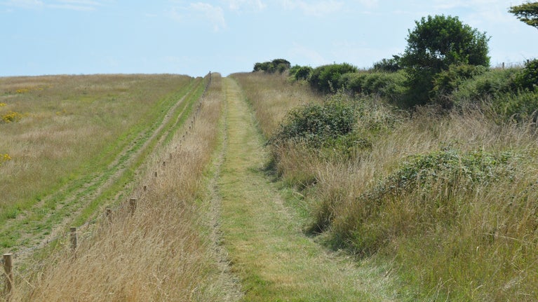 Path running up the side of a rolling valley. Grassland on one side and a hedge on the other.
